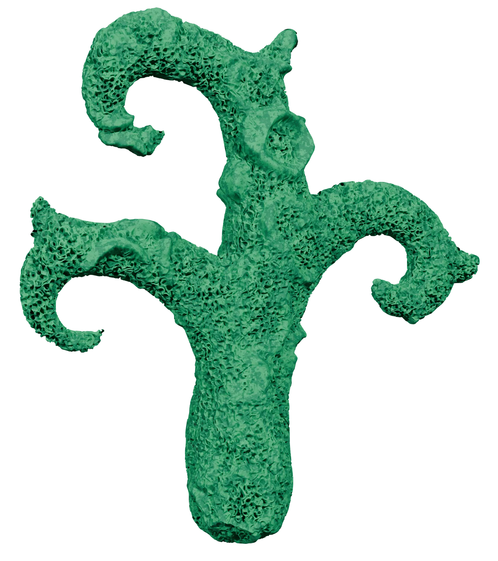 Organiczna forma roślinna